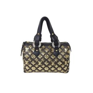 Louis Vuitton Speedy Handbag Eclipse All Sequin Bag